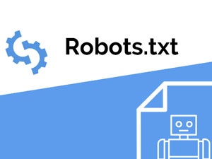 冬镜SEO 网站优化中的robots文件是否要放在根目录？ 